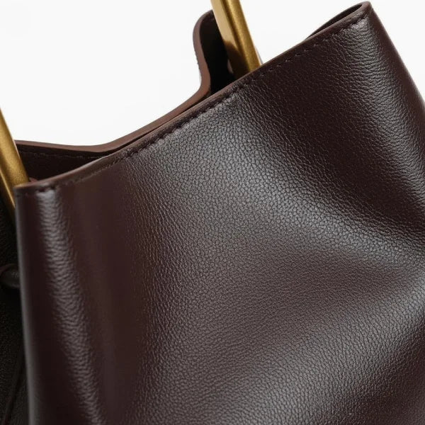 Close-up of a Coffee Izelia top grain leather crossbody bag with gold handles on a white background